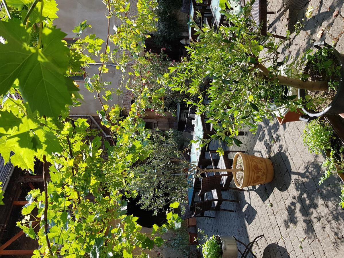 Hotel Restaurant Toscana Naumburg Exterior photo